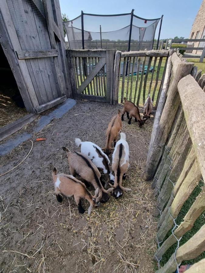 Vakantiehoeve 'T Goed Ter Leeuwen De Haan Exterior foto